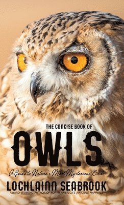 bokomslag Concise Book of Owls