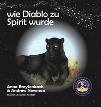 bokomslag Wie Diablo zu Spirit wurde