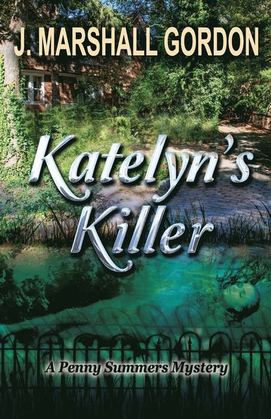 bokomslag Katelyn's Killer