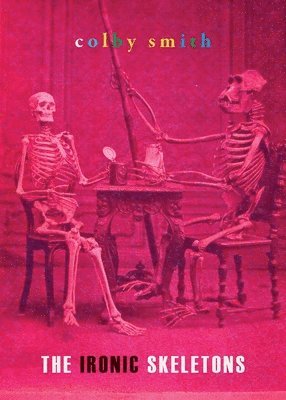 bokomslag Ironic Skeletons
