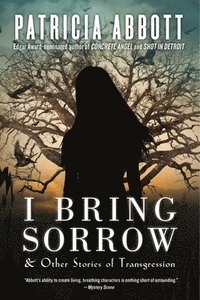 bokomslag I Bring Sorrow