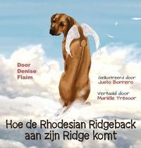 bokomslag Hoe de Rhodesian Ridgeback aan zijn Ridge komt