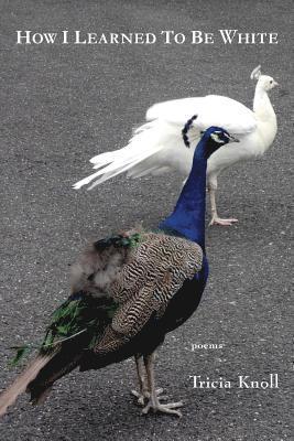 How I Learned to Be White