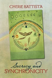 bokomslag Secrecy and Synchronicity