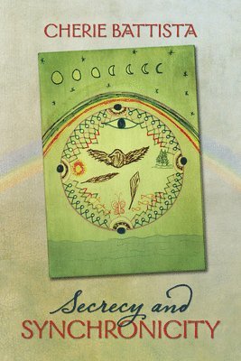 bokomslag Secrecy and Synchronicity