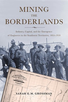 bokomslag Mining the Borderlands
