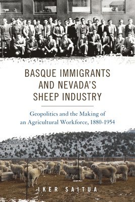 bokomslag Basque Immigrants and Nevada's Sheep Industry