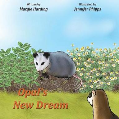 bokomslag Opal's New Dream