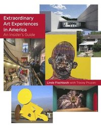 bokomslag Extraordinary Art Experiences in America