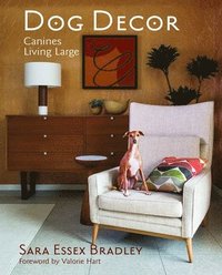 bokomslag Dog Decor