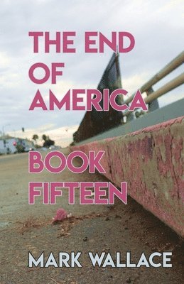 bokomslag End of America, Book Fifteen