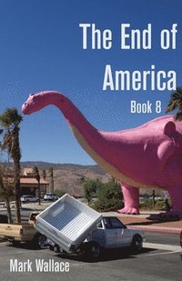 bokomslag The End of America Book 8