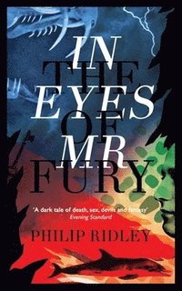 bokomslag In the Eyes of Mr Fury