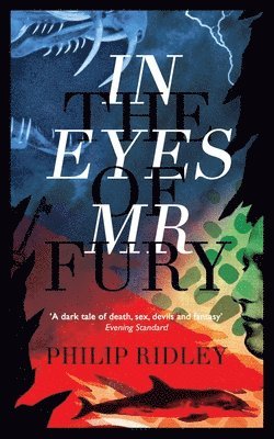 In the Eyes of Mr Fury 1
