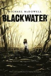 bokomslag Blackwater