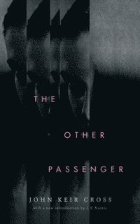 bokomslag The Other Passenger