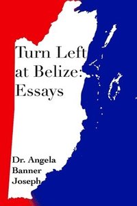 bokomslag Turn Left at Belize: Essays