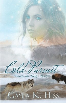 bokomslag Cold Pursuit