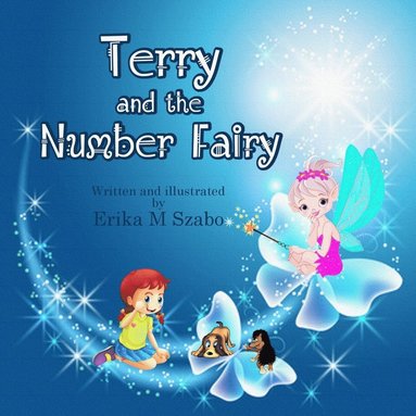 bokomslag Terry And The Number Fairy