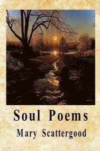 bokomslag Soul Poems