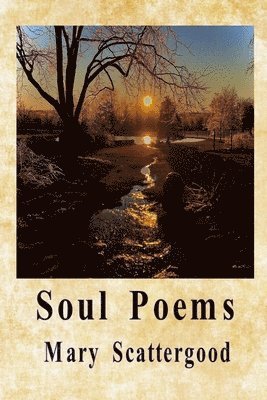bokomslag Soul Poems