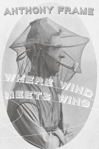 bokomslag Where Wind Meets Wing