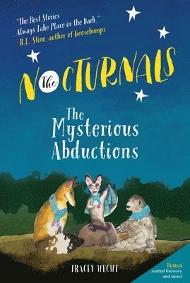 bokomslag The Nocturnals: The Mysterious Abductions