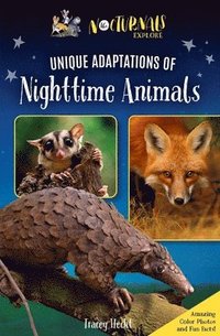 bokomslag The Nocturnals Explore Unique Adaptations of Nighttime Animals: Nonfiction Chapter Book Companion to the Mysterious Abductions