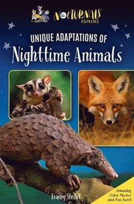 bokomslag The Nocturnals Explore Unique Adaptations of Nighttime Animals: Nonfiction Chapter Book Companion to the Mysterious Abductions