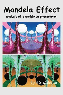 bokomslag Mandela Effect: Analysis of a Worldwide Phenomenon