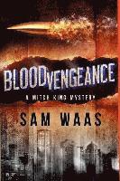 bokomslag Blood Vengeance