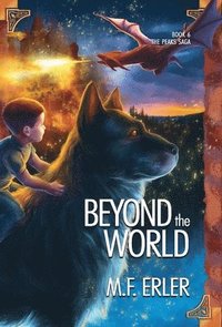 bokomslag Beyond the World