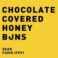 bokomslag Chocolate Covered Honey Buns