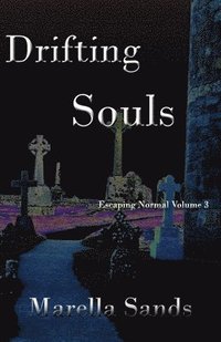 bokomslag Drifting Souls