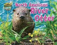 bokomslag North American River Otter
