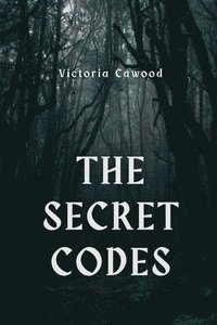 bokomslag The secret codes