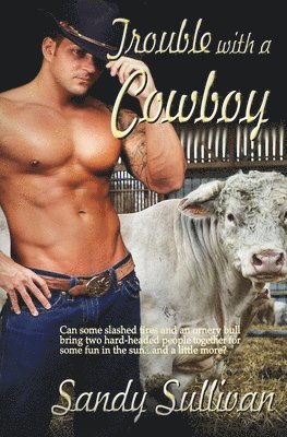 Trouble with a Cowboy 1