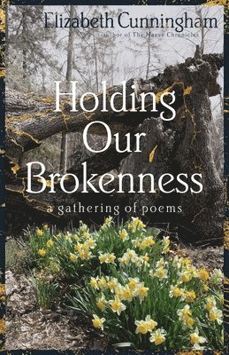 Elizabeth Cunningham - Holding Our Brokenness, Häftad