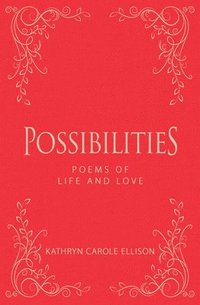 bokomslag Possibilities