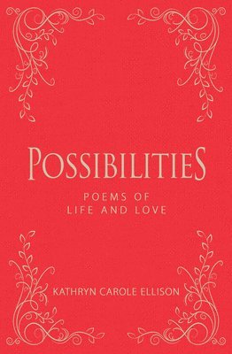 bokomslag Possibilities