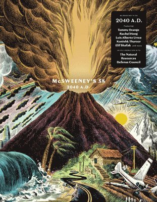 bokomslag McSweeney's Issue 58 (McSweeney's Quarterly Concern): 2040 AD - Climate Fiction Edition