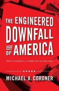 bokomslag The Engineered Downfall of America: How It Happened and Where We Can Find Hope