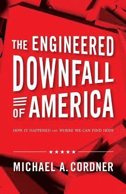 bokomslag The Engineered Downfall of America: How It Happened and Where We Can Find Hope