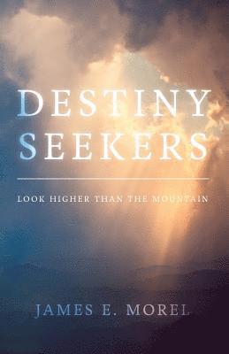 bokomslag Destiny Seekers: Look Higher Than The Mountain