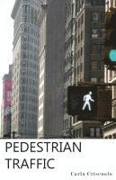 Pedestrian Traffic 1