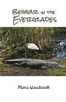 bokomslag Beggar in the Everglades