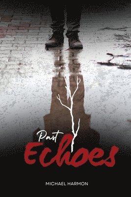 Past Echoes 1