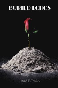 bokomslag Buried Echoes