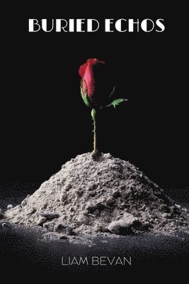 bokomslag Buried Echoes