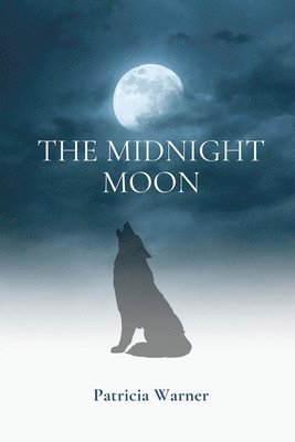 bokomslag Midnight Moon